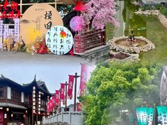 -雁荡山风景名胜区