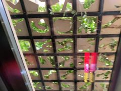 -银川河东国际机场