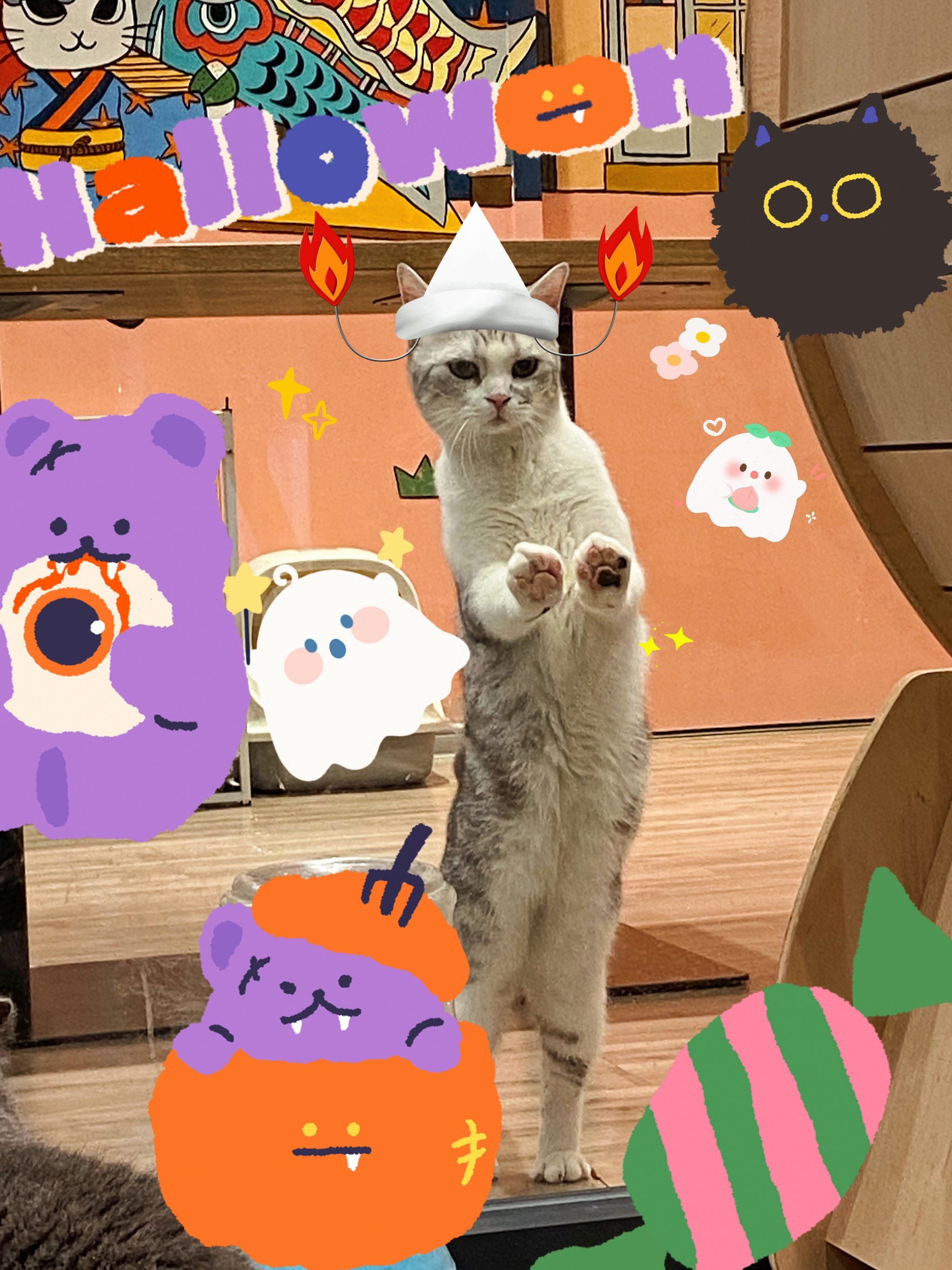 猫咪出击|火车头猫咪世界