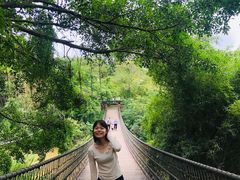 -南宁良凤江国家森林公园