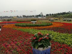 -润记农家菜