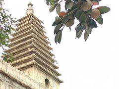 -北京石刻艺术博物馆(五塔寺)