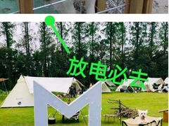 -前小桔亲子创意农场·草莓采摘·露营烧烤