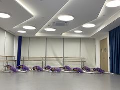 -小荧星艺校(浦东中环分校)