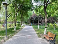 -大兴滨河森林公园