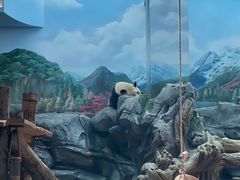 -武汉动物园