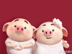 -傣妹火锅(狮子桥店)