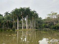 -中国科学院西双版纳热带植物园