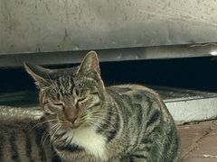 -慢丽江·云南野生菌土鸡锅(付家庄店)