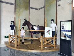 -上海崇明金茂凯悦酒店