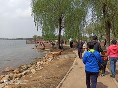 -丁香湖公园