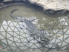 -成都动物园