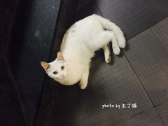 景观位-老头盖浇饭(南京新街口明瓦廊宏光酒店店)