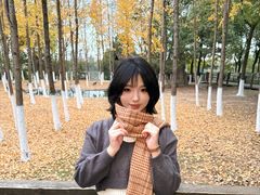 -艾溪湖湿地公园