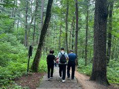 -五营红松林海景区