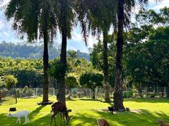 -东南花都花博园