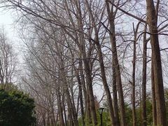-七桥瓮公园