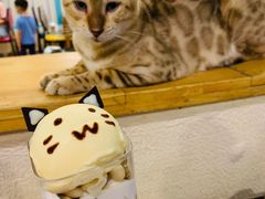 -猫小院猫主题咖啡厅(北锣店)