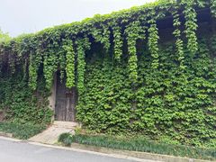 -鲁镇