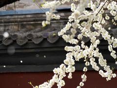 -雍和宫(地铁站)