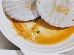 扇贝-华盛丰温州大排档(东三环南路店)