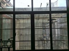 -观桥阁(锦溪店)