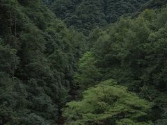 -花岩国家森林公园