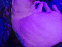 -星宿秘码(鼓浪屿老店)