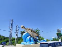 -广东惠东海龟国家级自然保护区
