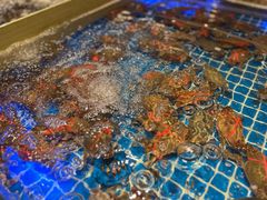 -青岛蓝海御华大饭店（金沙滩店）·蓝钻国际美食自助百汇