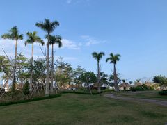 -艺厨风尚餐厅 · 桔钓沙莱华度假酒店
