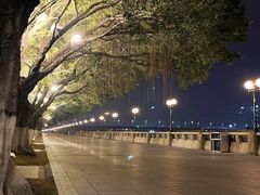 -广州塔