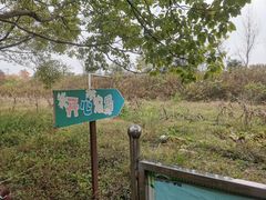 -上海都市菜园