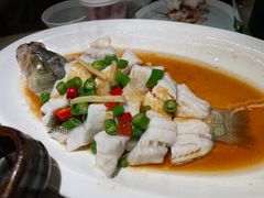 -客语客家菜(华发商都店)