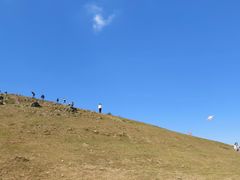-大姆山草场