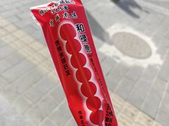 -和禄德冰糖葫芦