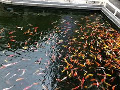 -番禺宾馆丽苑厅
