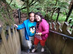 -怀托摩萤火虫洞