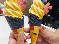 -麦当劳(花园北路店)