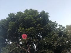 -DECAMERON十日谈(卓悦汇店)