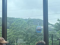 -点都德(广州白云山景区南门店)