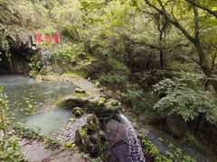 -宁波市保国寺古建筑博物馆