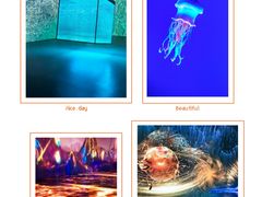 -上海宝龙美术馆