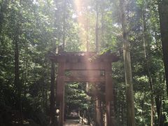 -凤栖山