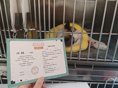 -瑞派福兴宠物医院犬猫全科·骨科·中西医结合(河东店)