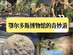 -鄂尔多斯博物馆