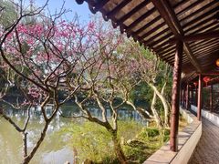 -上海醉白池公园