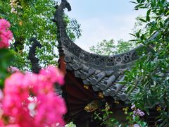 -长春观