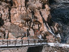 -青峰峡国家森林公园