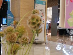 -花邻FloweringLife花艺气球派对(武康大楼店)